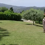 Master In 6 To 8 Persons With Large Private Garden * Capoliveri (Isola d'Elba)