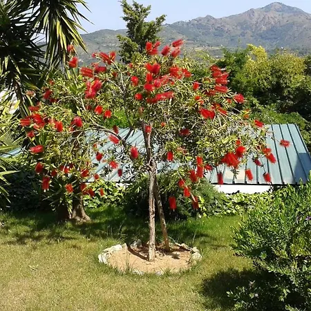 Master In 6 To 8 Persons With Large Private Garden Capoliveri