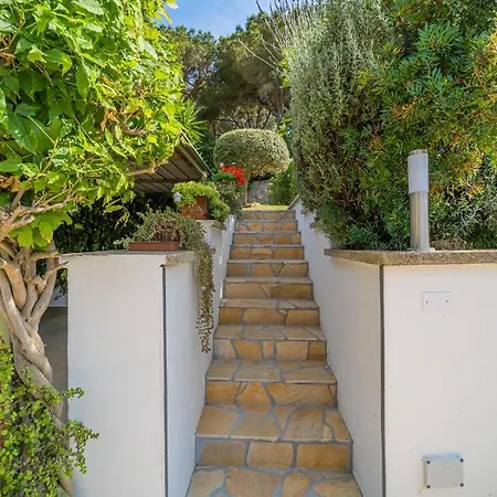 Apartment Master In 6 To 8 Persons With Large Private Garden *