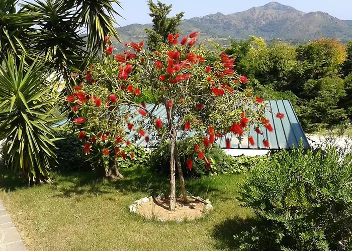 Master In 6 To 8 Persons With Large Private Garden Capoliveri